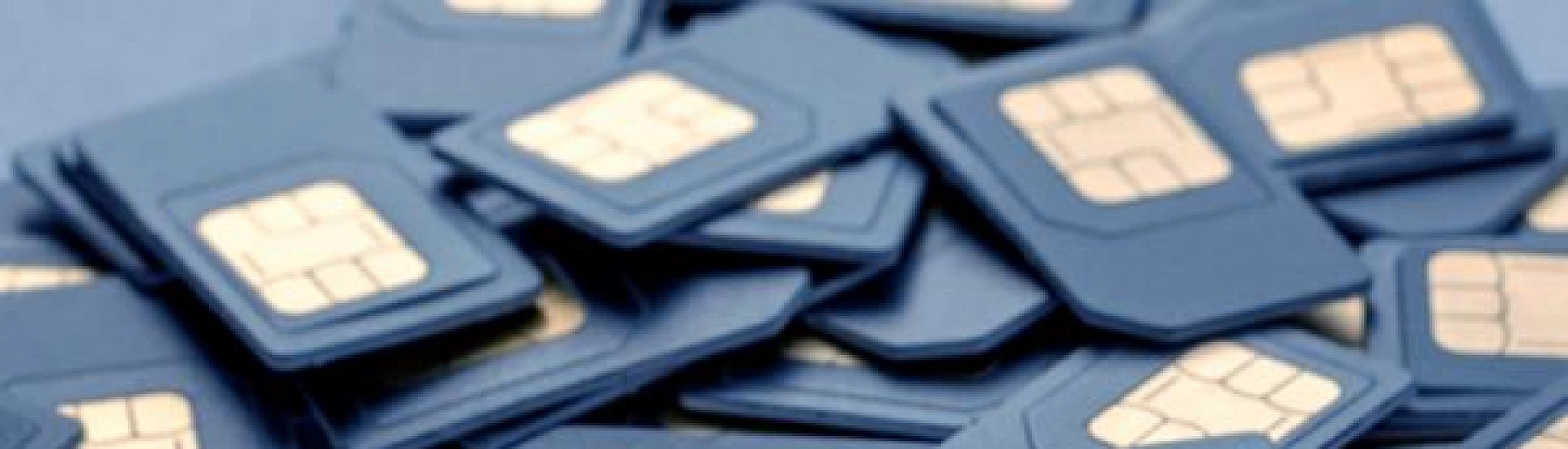 Буцкая поддержала идею «детских сим-карт» и предложила сделать их с бесплатным доступом к образовательным сервисам