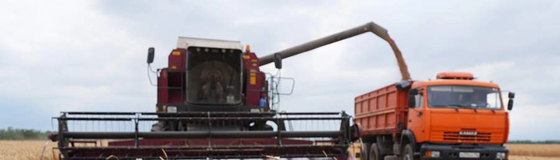 Лут заявила о прорыве российского агропромышленного комплекса