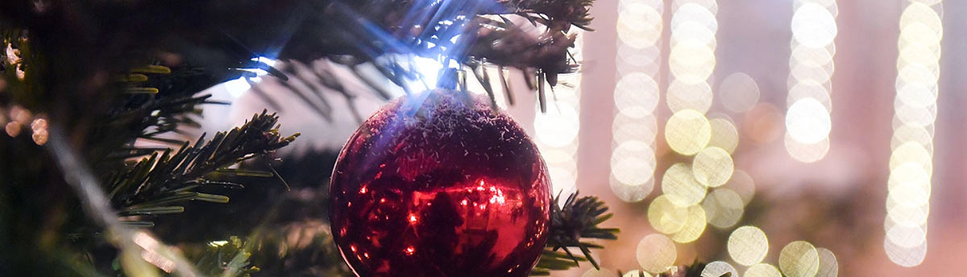 Главную новогоднюю ель страны доставят в Кремль из Рузского округа Подмосковья