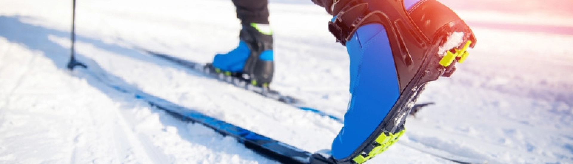 Скончалась олимпийская чемпионка по лыжным гонкам Алевтина Олюнина-Панарина