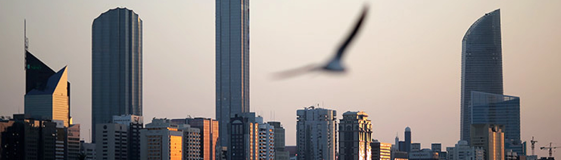 IJF разрешила российским дзюдоистам вновь выступать под флагом, с гимном и символикой