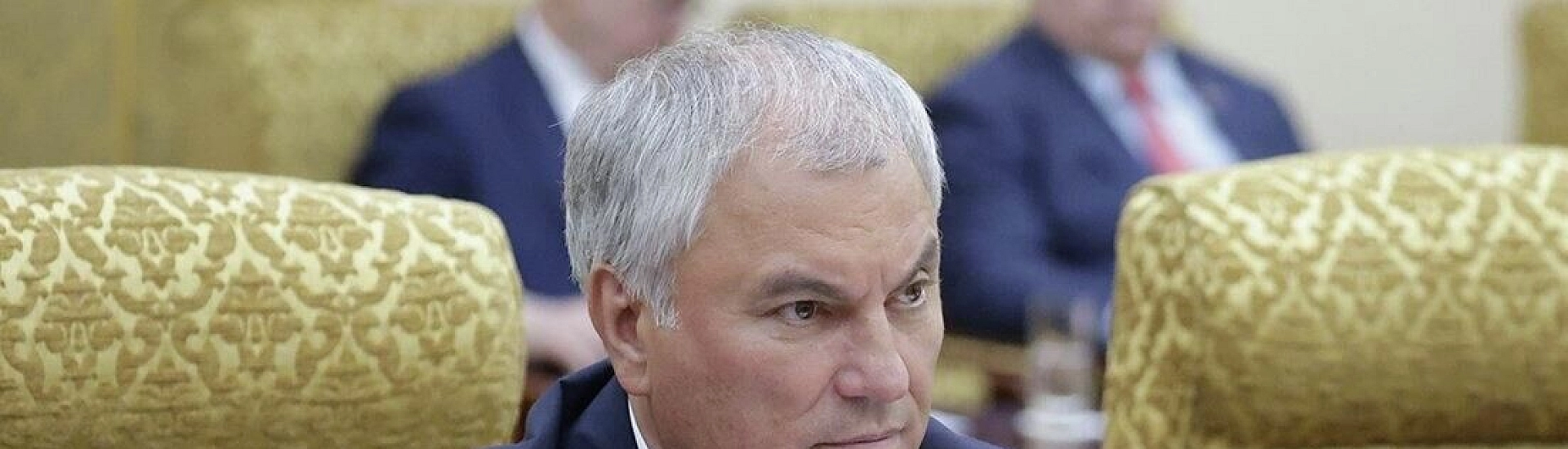 Володин: все услуги в электронных школьных дневниках должны быть бесплатными