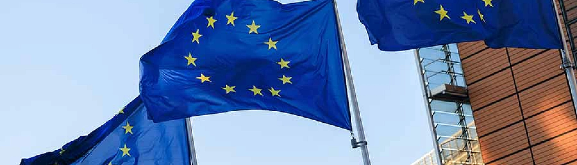 ЕС рассматривает вариант использования российских резервов без согласия отдельных стран