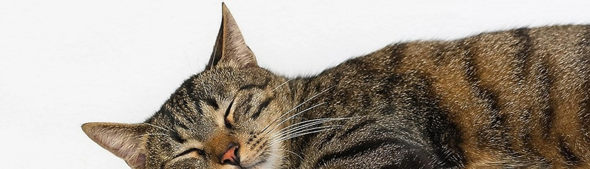 В Москве повысили температуру теплоносителя из-за резкого похолодания