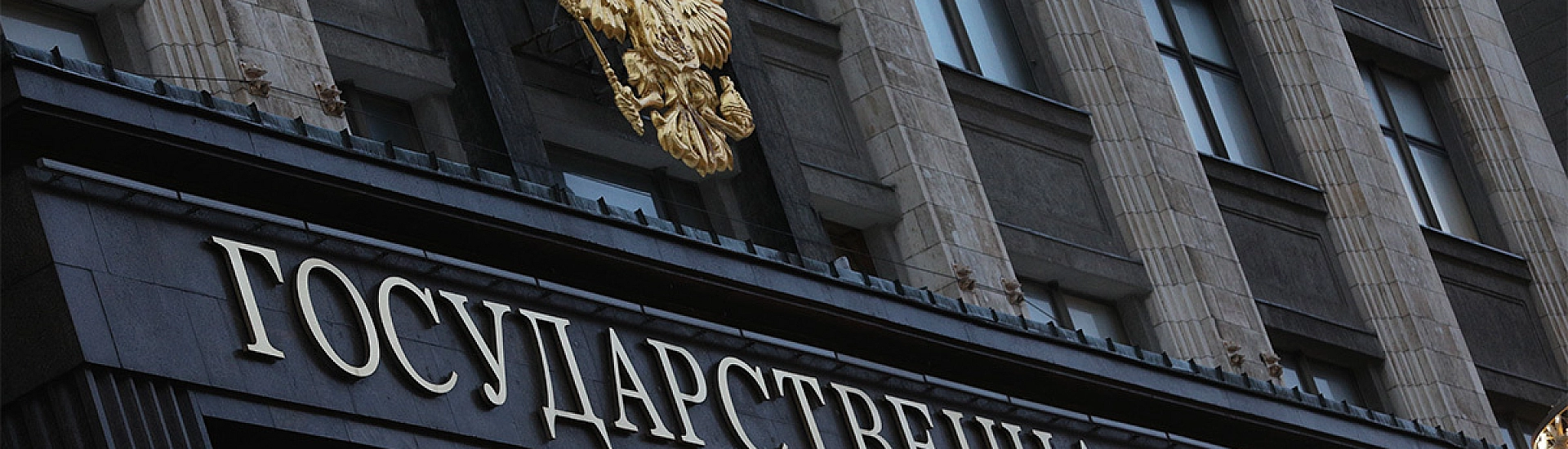 Комитет Госдумы поддержал ужесточение штрафов за нарушения при обращении с животными