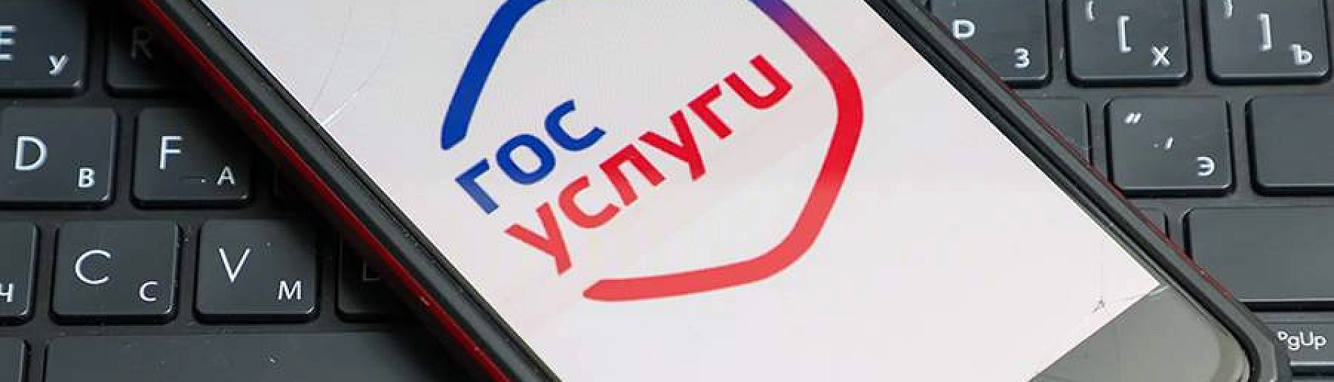 Реестр злостных неплательщиков алиментов стал доступен на «Госуслугах»