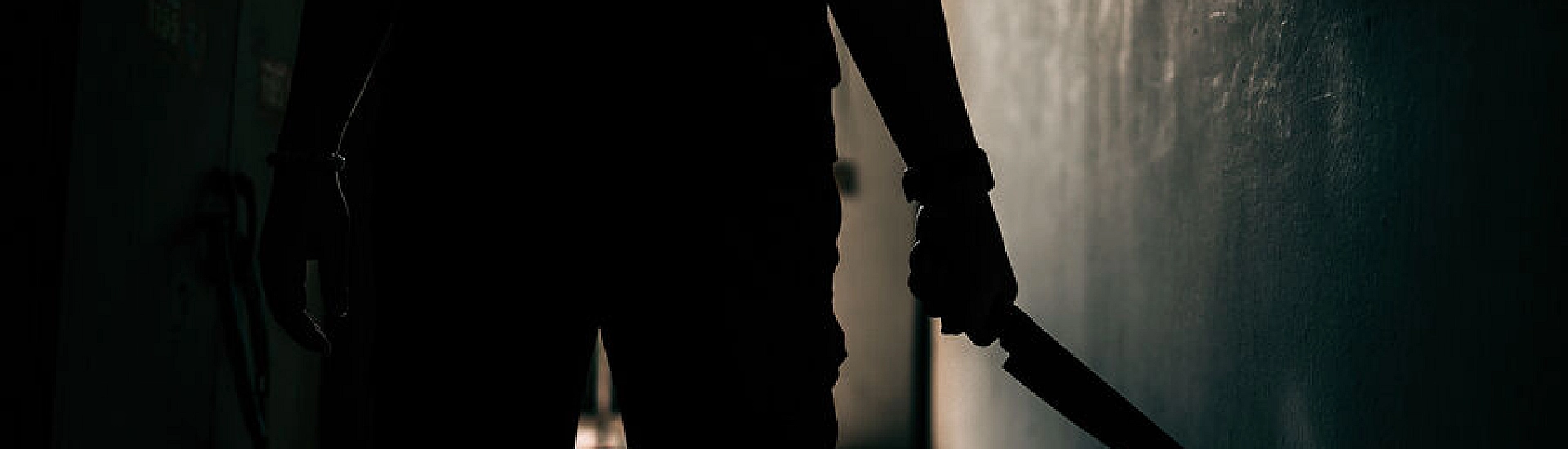 Миронов предложил ужесточить ответственность за незаконное ношение холодного оружия