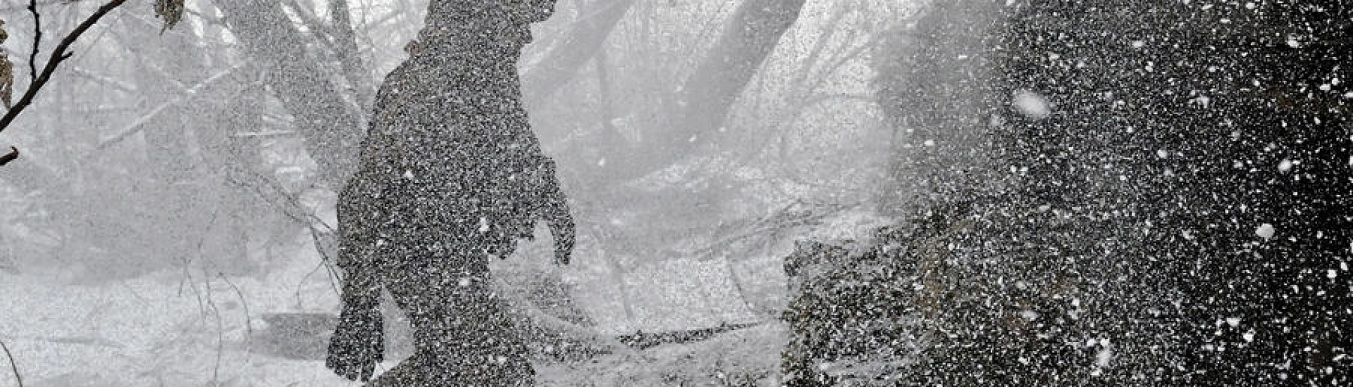 Советник главы ДНР заявил о попадании украинского гарнизона в огневой мешок в Красном Лимане