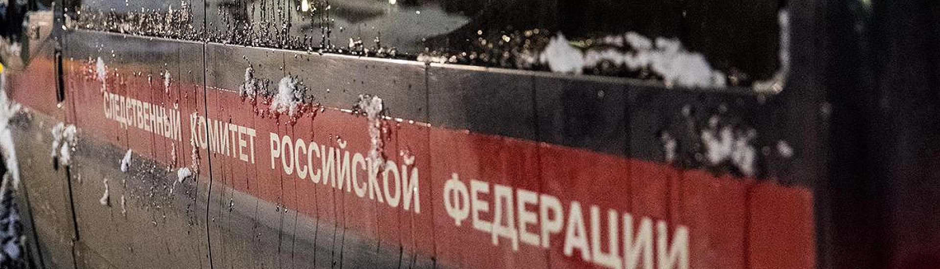 В Ленинградской области нашли тело пропавшего в Петербурге девятилетнего мальчика