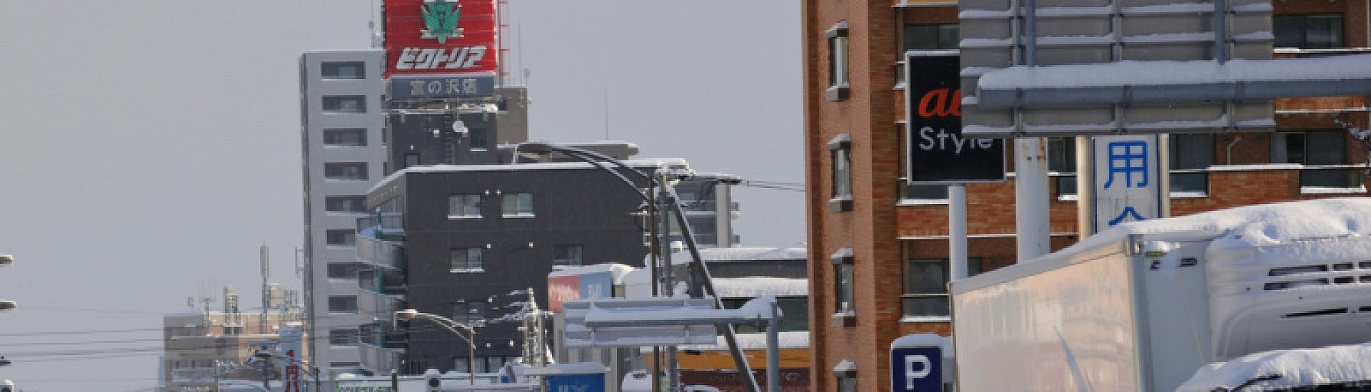 Снегопады на севере Японии унесли жизни более 30 человек