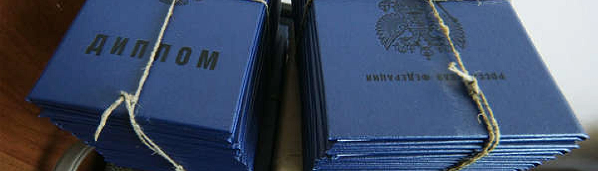 Экс-чиновника из Советской Гавани осудили за работу по поддельному диплому