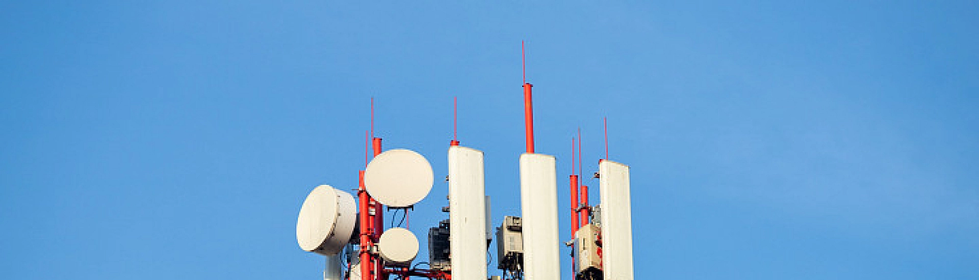 В Петербурге суд рассмотрит иск к МТС и «Мегафону» из-за базовых станций в Сестрорецке