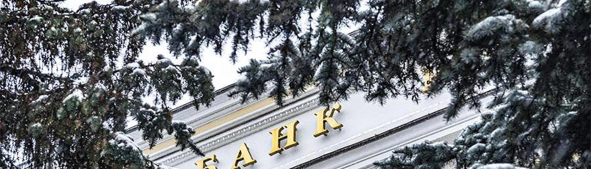 ЦБ: в 2025 году с кибермошенниками столкнулись 29% россиян