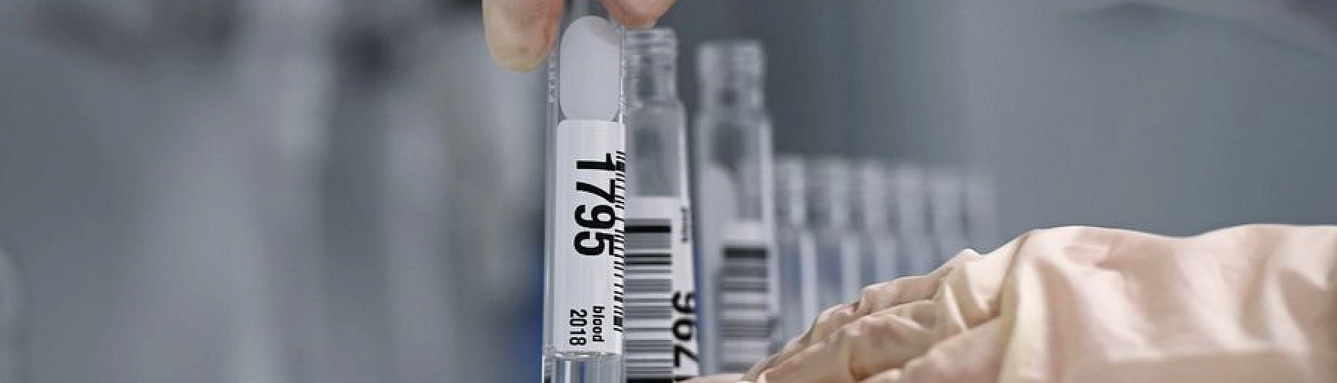 Хаджимурат Гацалов оправдан по допинговому делу