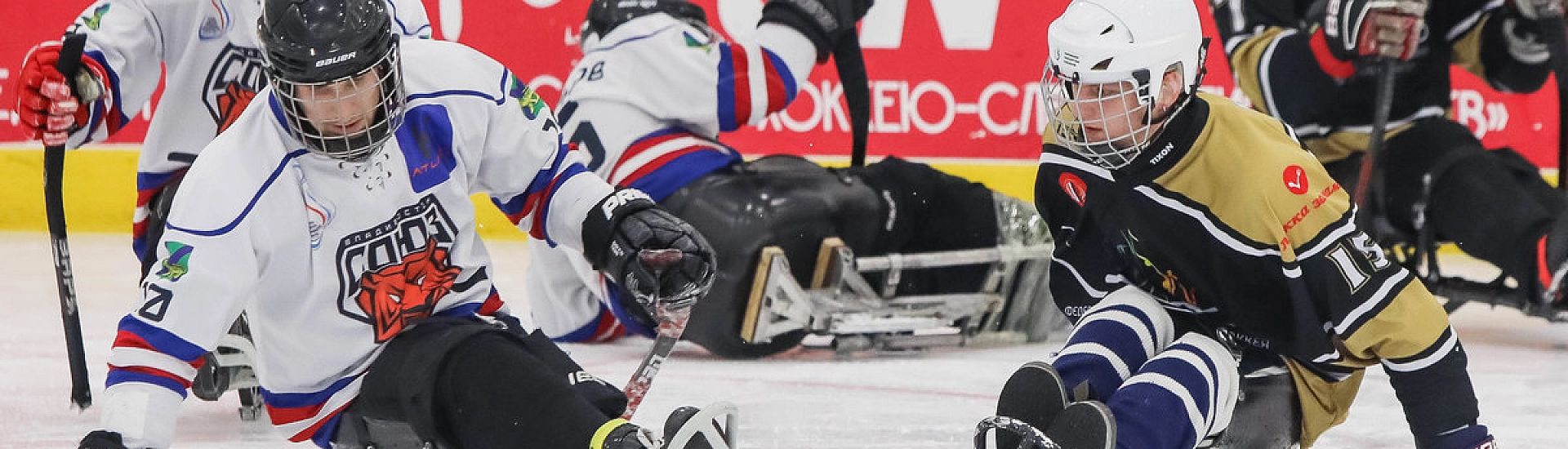 В Нижегородской области завершился финал чемпионата России по следж-хоккею дивизиона «Лига героев»