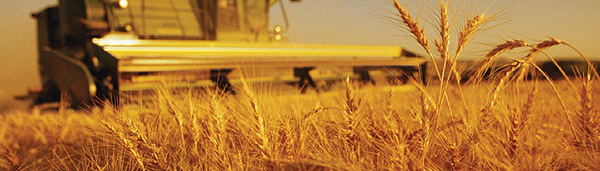 Госдума приняла 26 законов по аграрной сфере в 2025 году, сообщил Володин