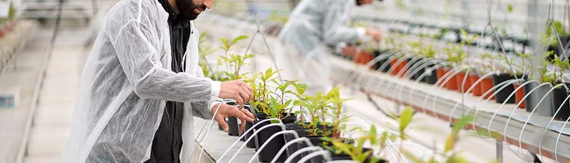 Путин на Форуме будущих технологий призвал усилить развитие биоэкономики