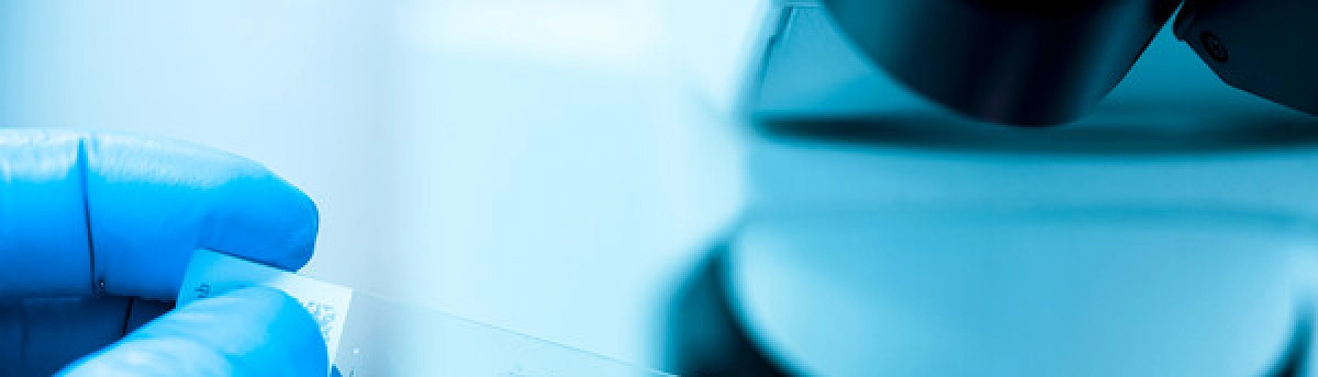 В России разработали систему доставки лекарств для борьбы с устойчивой к терапии саркомой Юинга