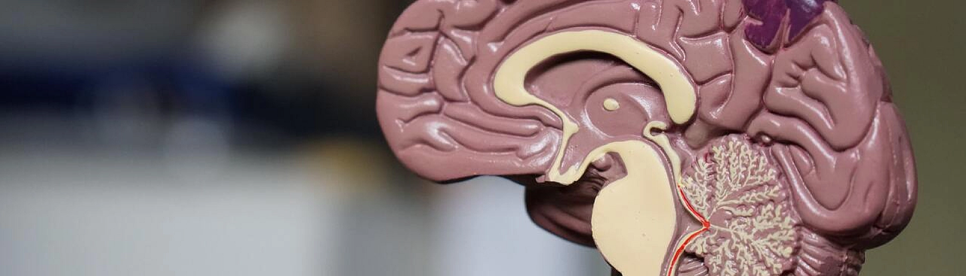 Nature: новая теория ставит под сомнение классическое представление о роли дофамина