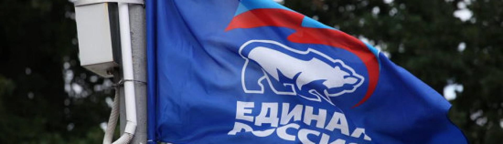 Кандидат от «Единой России» Суворова отказалась оспаривать отмену итогов выборов в Зеленоградске