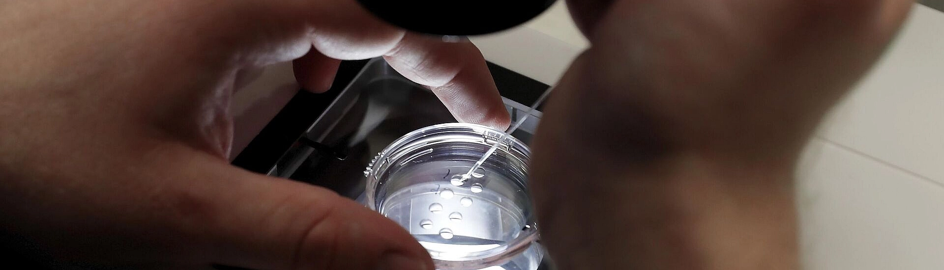 В Белоруссии предложили расширить программу ЭКО до двух бесплатных попыток