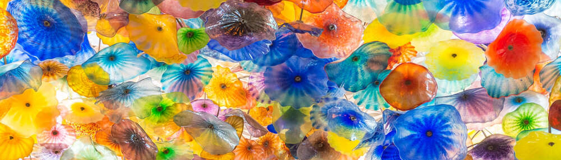 В Сиэтле вандал уничтожил стеклянные скульптуры Дейла Чихули на $240 тыс.