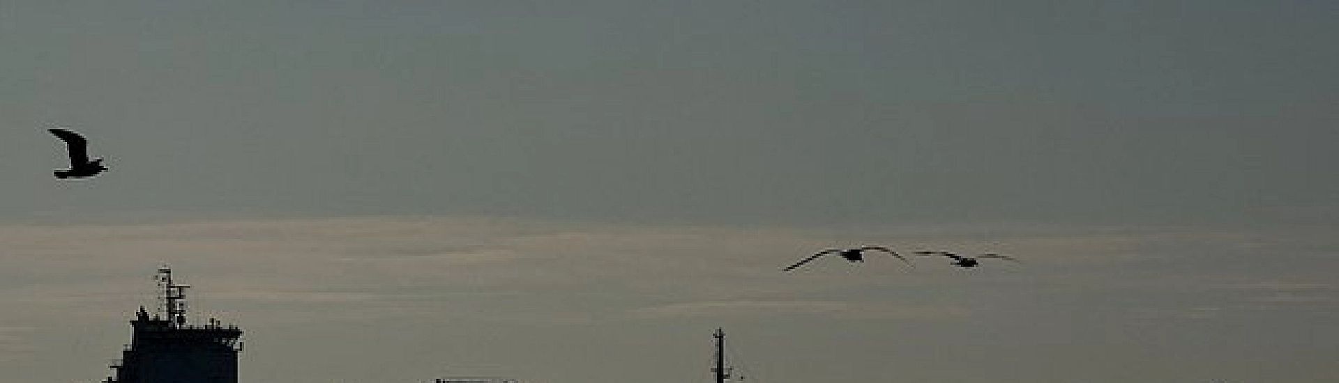 Страны Персидского залива ускорили обсуждение новых трубопроводов из-за проблем с Ормузским проливом