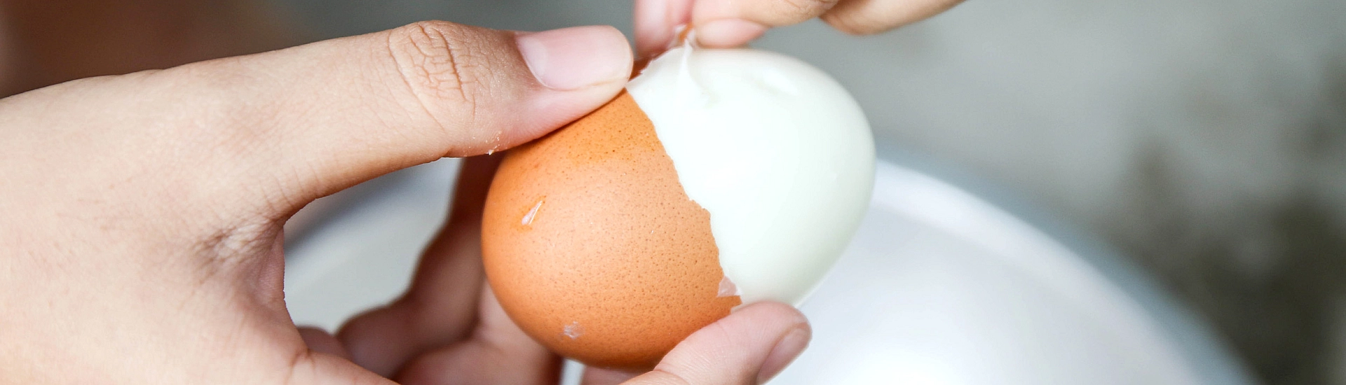 Биолог Лялина объяснила, сколько яиц можно есть без вреда для здоровья