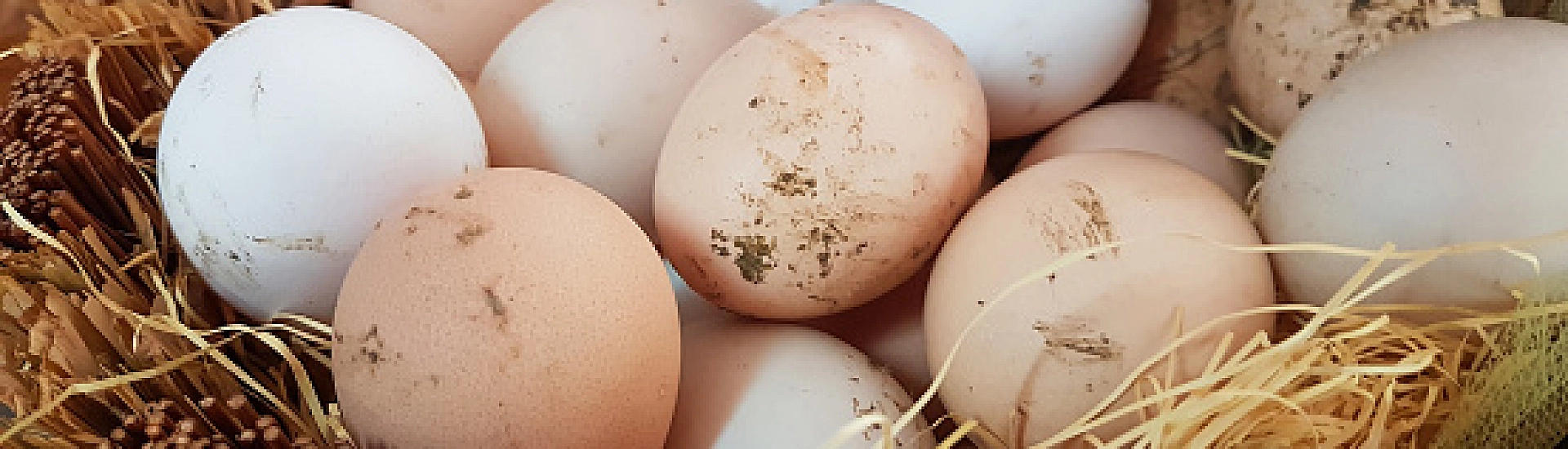 Молдавия запретила мыть яйца категории «А» ради стандартов ЕС