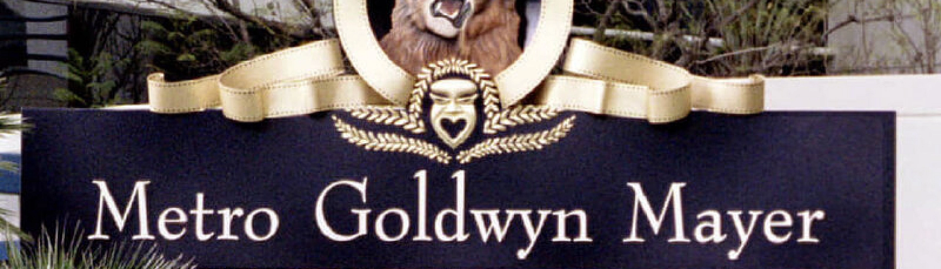 MGM пытается через Роспатент аннулировать бренд «Розовая пантера» у структуры «Магнита»