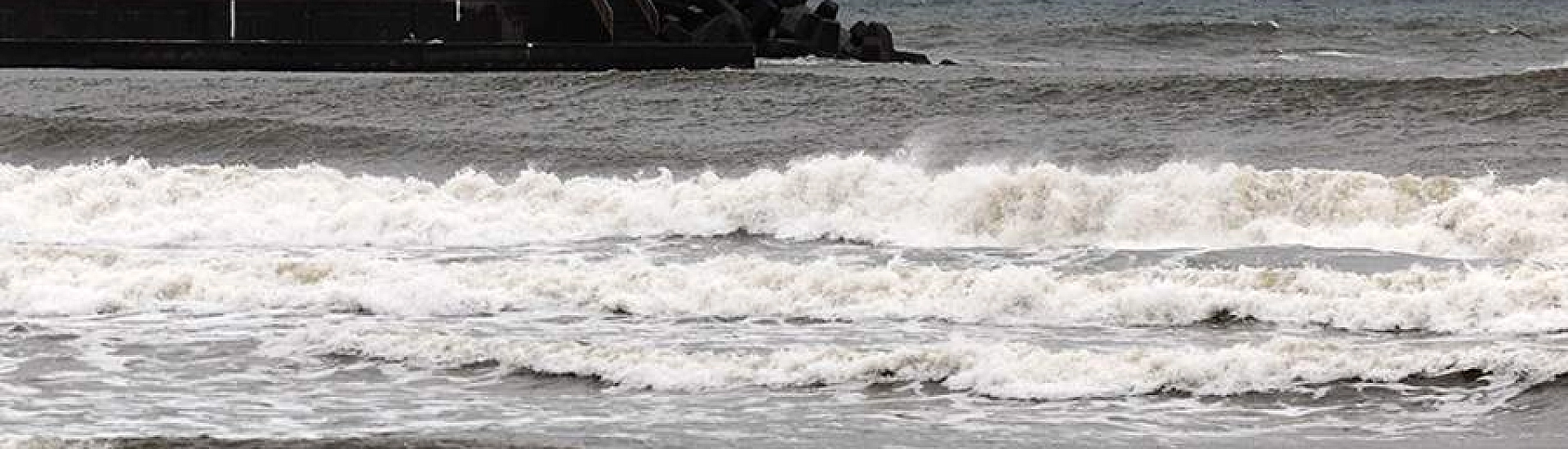 К побережью Японии пришла первая волна цунами после мощного землетрясения