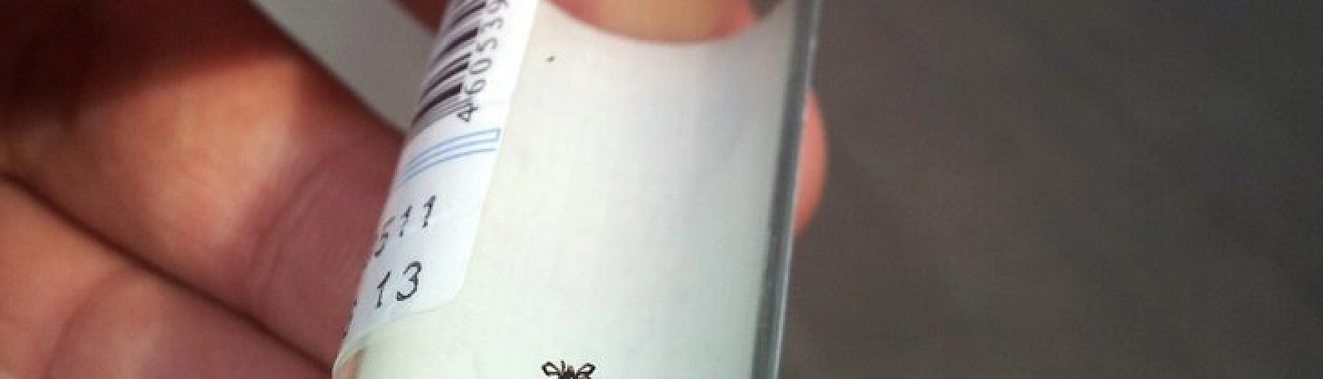 Росздравнадзор заявил об отсутствии дефицита вакцины от клещевого энцефалита