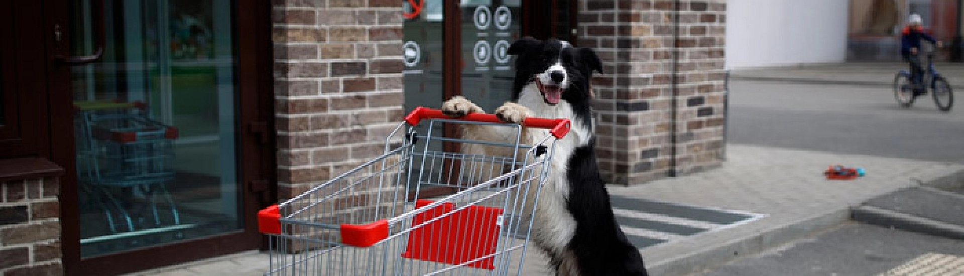 ЦБ сохранил прогноз инфляции на 2026 год в диапазоне 4,5–5,5%