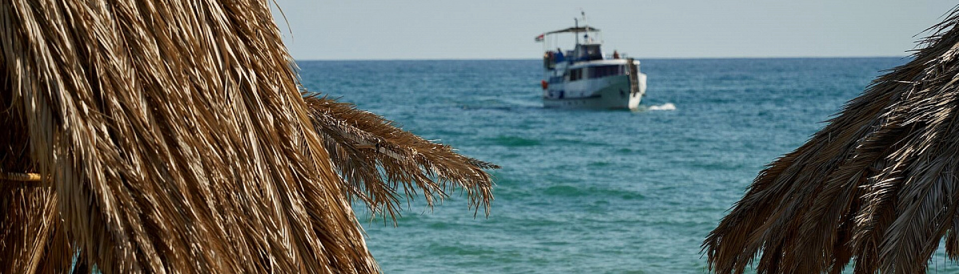 Пожар в Туапсе не повлияет на туристический спрос, считают туроператоры