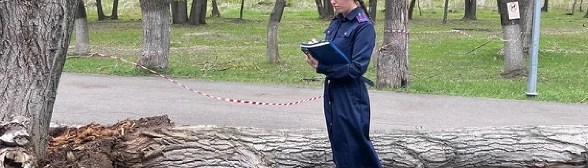 В Самаре дерево упало на детей: один ребенок погиб