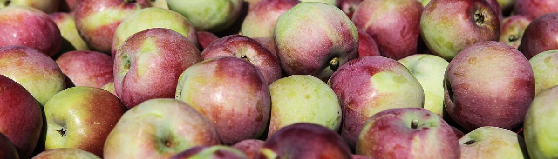 Трутнев потребовал объяснить цены на яблоки по 300 рублей на Чукотке