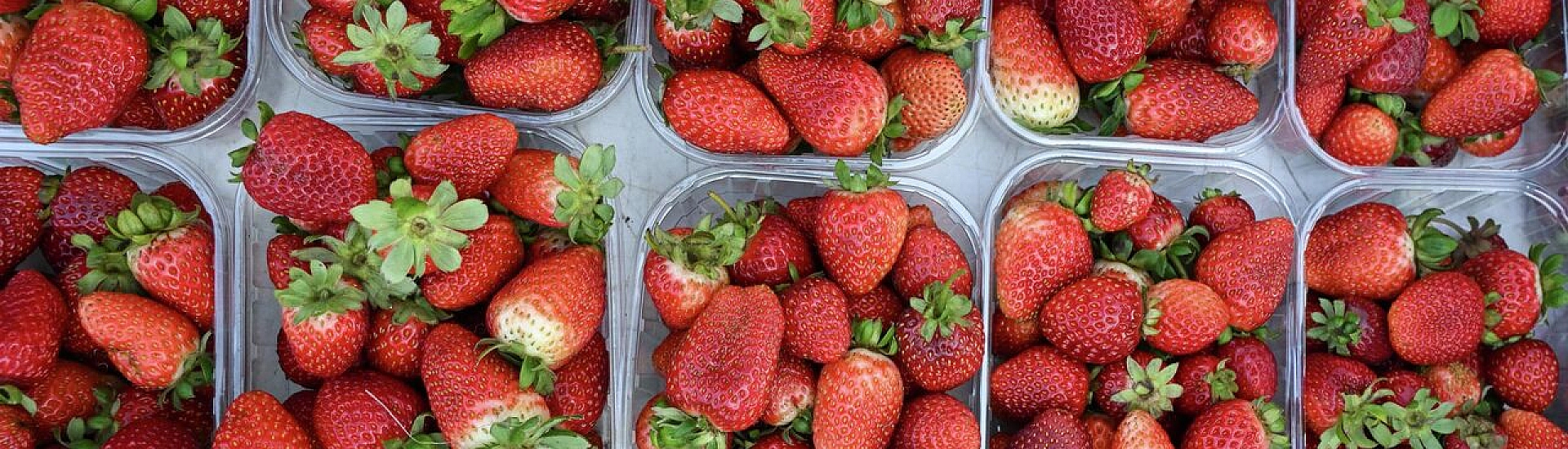В России клубника за месяц подешевела на 28%