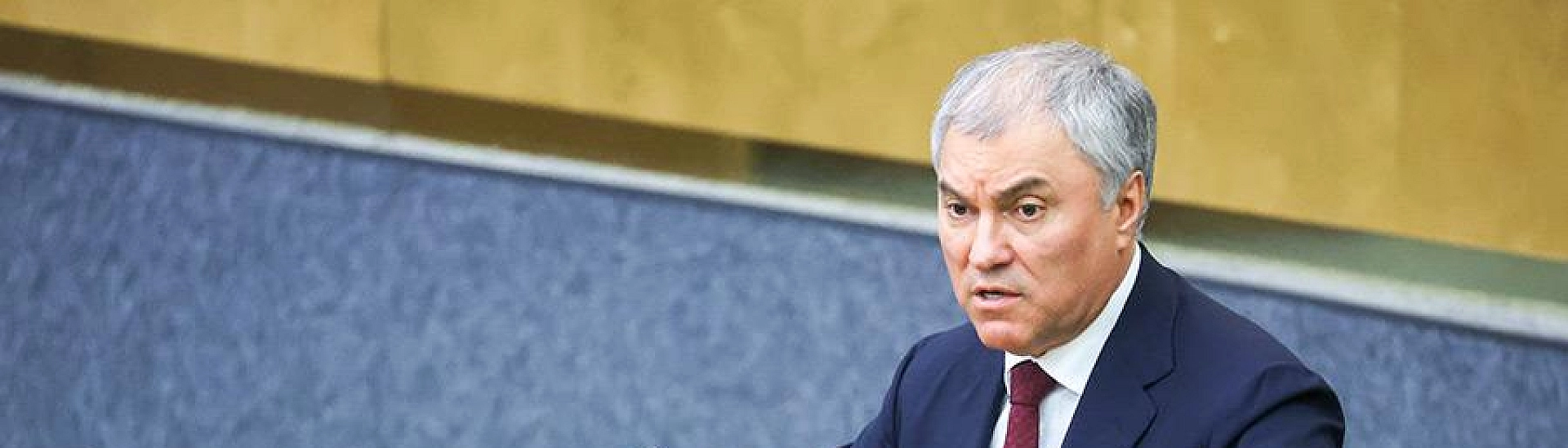 Володин заявил, что судьбу оскорблявших Россию релокантов будет решать суд