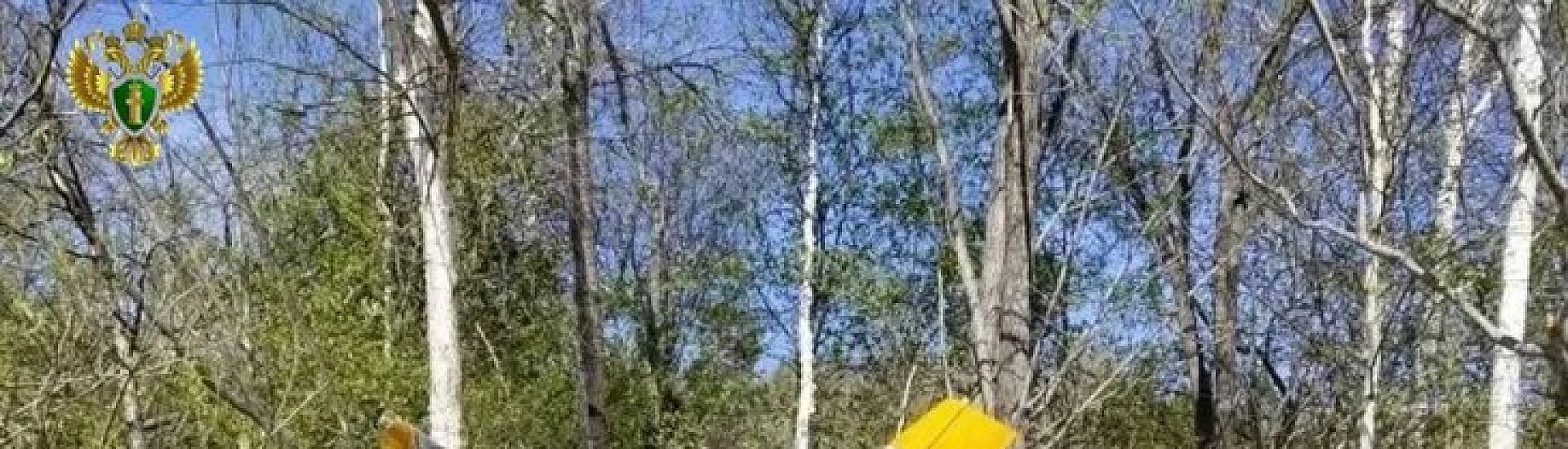 После жесткой посадки самолета в Красноярском крае возбудили уголовное дело