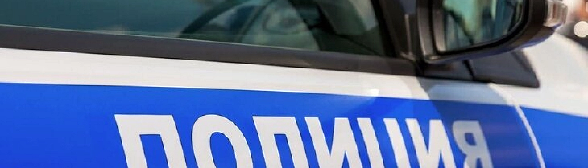 В Мытищах собака погибла после конфликта между соседями