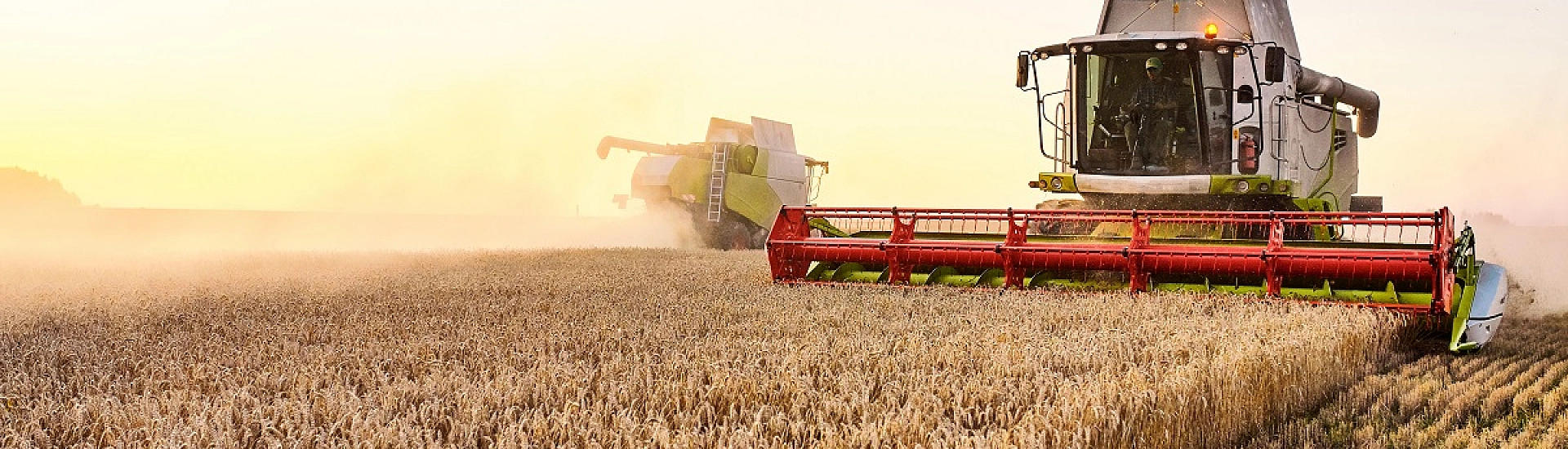 Стоимость пшеницы в России за год снизилась на 22%
