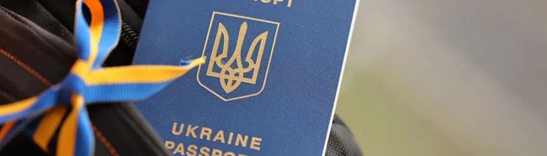 Польша поддержала ограничение временной защиты ЕС для части украинцев