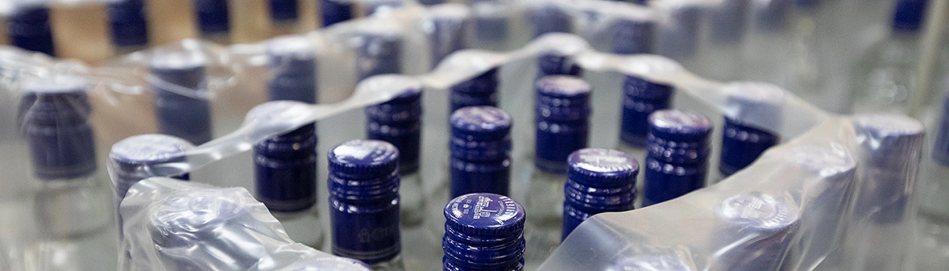 Росимущество выставило на торги бывшие российские активы Global Spirits