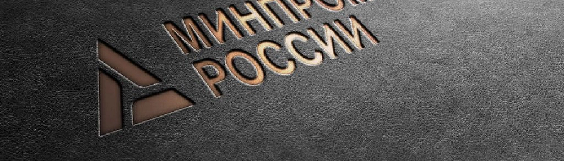 Минпромторг потребовал ограничить права кипрских владельцев структуры семьи Гурьевых