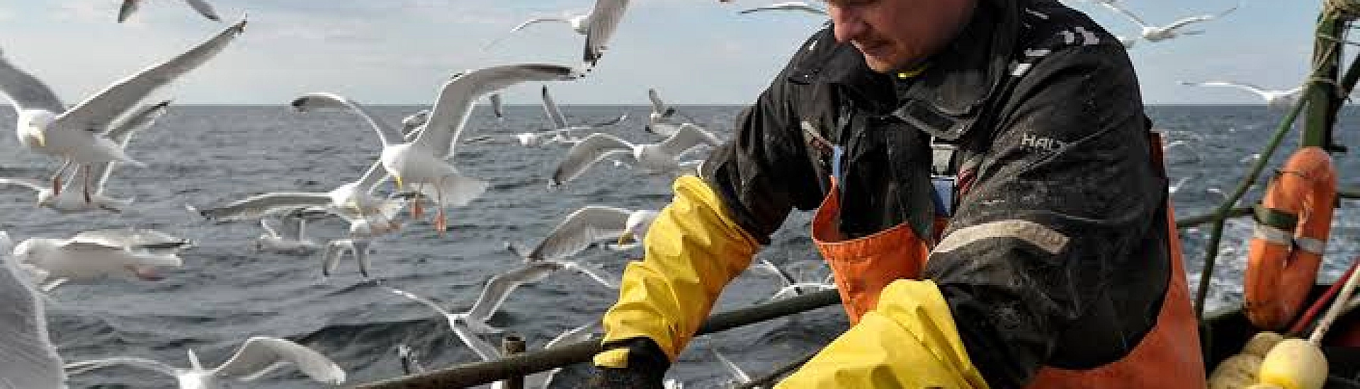 Рыбопромышленникам не дали отсрочку по штрафам за ошибки при регистрации сделок