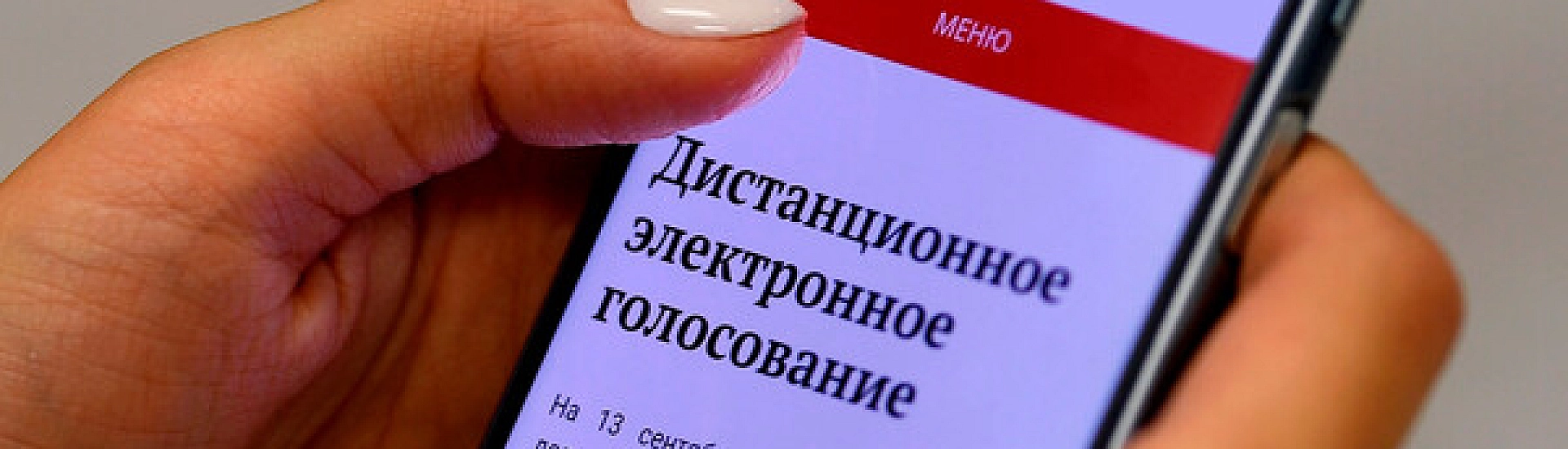 Более 1,1 млн избирателей подали заявления на участие в ДЭГ