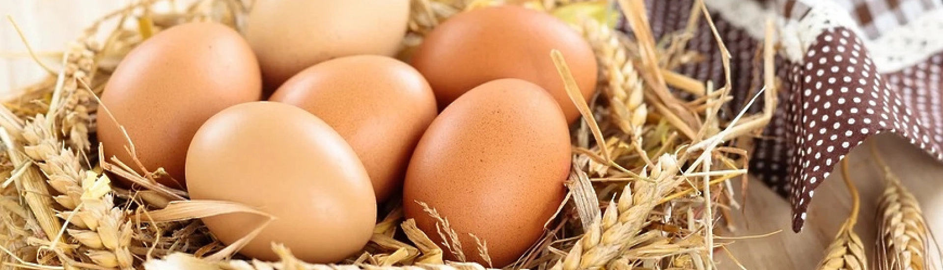Гепатолог рассказал, как куриные яйца могут влиять на печень