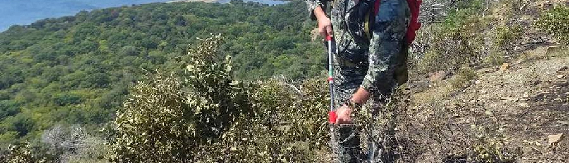 В заповеднике «Утриш» площадь локальных очагов пожара сократилась до 5 гектаров