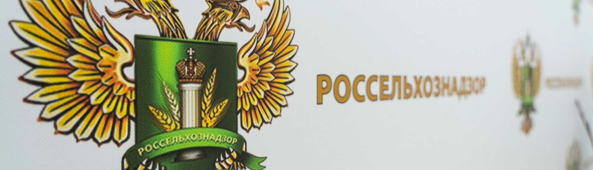 Россельхознадзор проверяет вакцину «Мультифел» после сообщения о гибели кошки