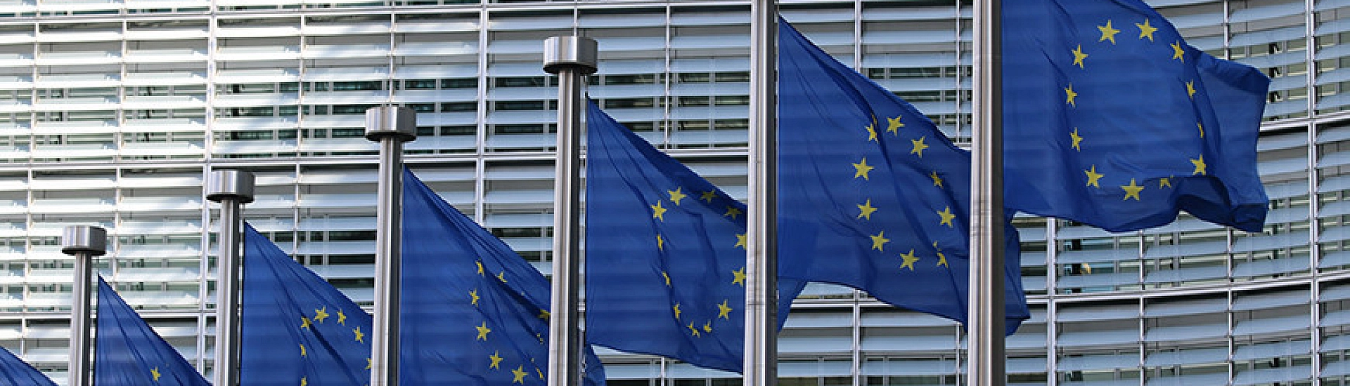 В Европарламенте обвинили Германию и Францию в торможении оборонных инициатив ЕС